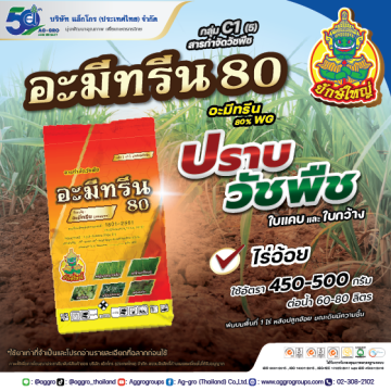 อะมีทรีน 80